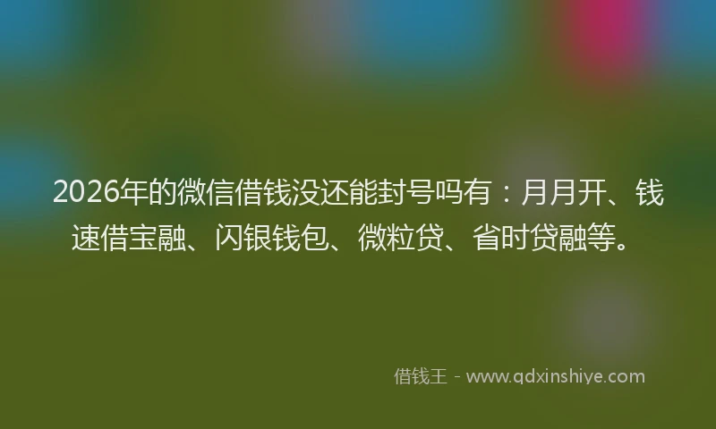 2026年的微信借钱没还能封号吗有：月月开、钱速借宝融、闪银钱包、微粒贷、省时贷融等。