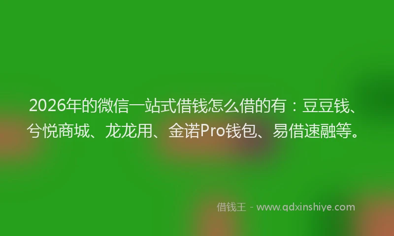 2026年的微信一站式借钱怎么借的有：豆豆钱、兮悦商城、龙龙用、金诺Pro钱包、易借速融等。