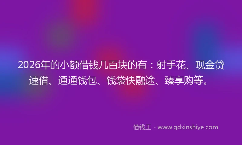 2026年的小额借钱几百块的有：射手花、现金贷速借、通通钱包、钱袋快融途、臻享购等。