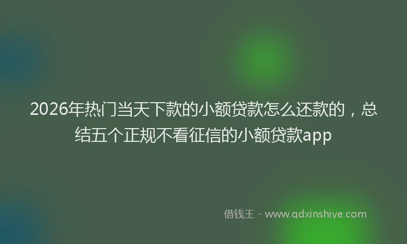 2026年热门当天下款的小额贷款怎么还款的，总结五个正规不看征信的小额贷款app