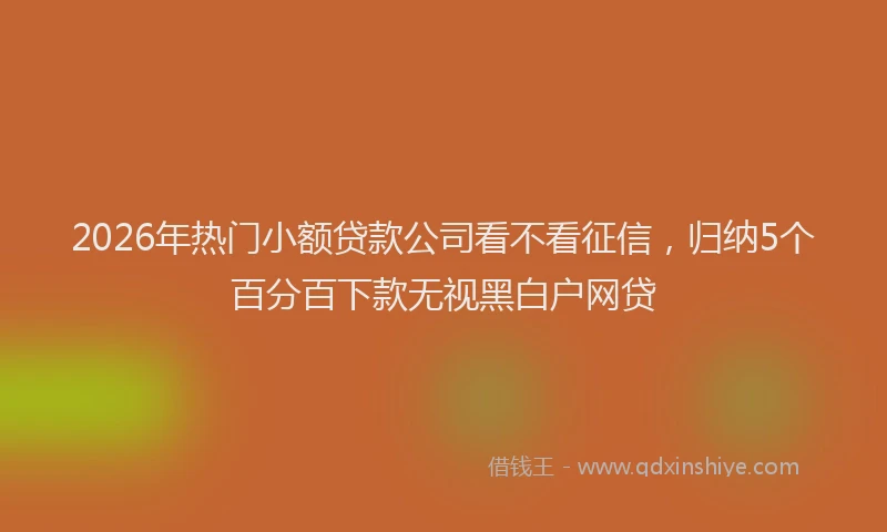 2026年热门小额贷款公司看不看征信，归纳5个百分百下款无视黑白户网贷