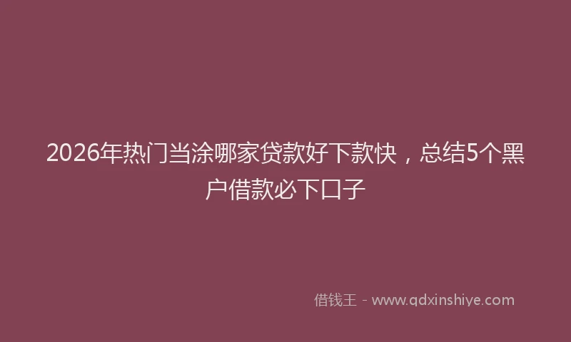 2026年热门当涂哪家贷款好下款快，总结5个黑户借款必下口子