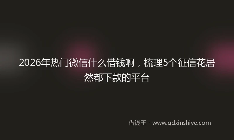 2026年热门微信什么借钱啊，梳理5个征信花居然都下款的平台