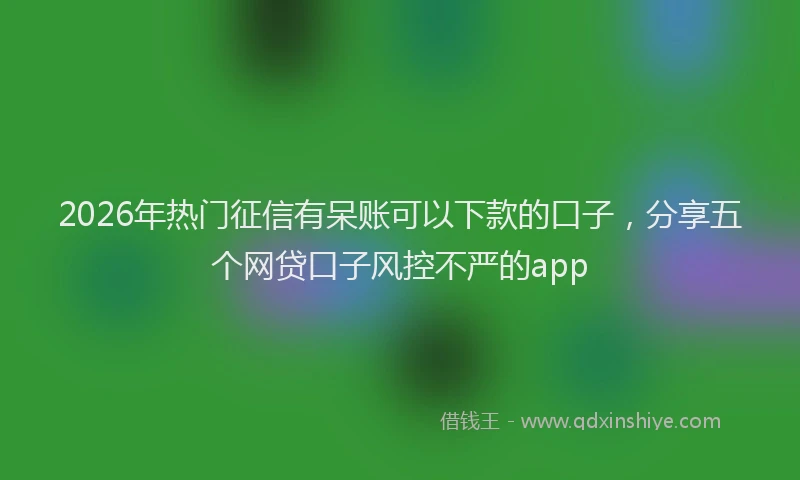 2026年热门征信有呆账可以下款的口子，分享五个网贷口子风控不严的app
