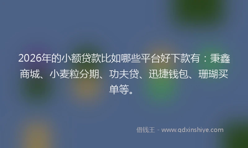 2026年的小额贷款比如哪些平台好下款有：秉鑫商城、小麦粒分期、功夫贷、迅捷钱包、珊瑚买单等。
