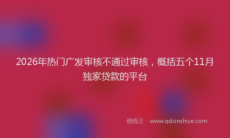 2026年热门广发审核不通过审核，概括五个11月独家贷款的平台