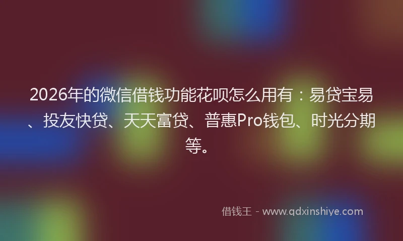 2026年的微信借钱功能花呗怎么用有:易贷宝易、投友快贷、天天富贷、普惠Pro钱包、时光分期等。