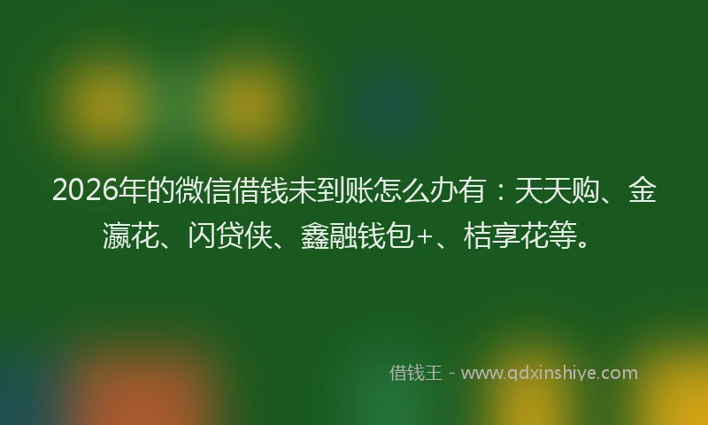 2026年的微信借钱未到账怎么办有：天天购、金瀛花、闪贷侠、鑫融钱包+、桔享花等。