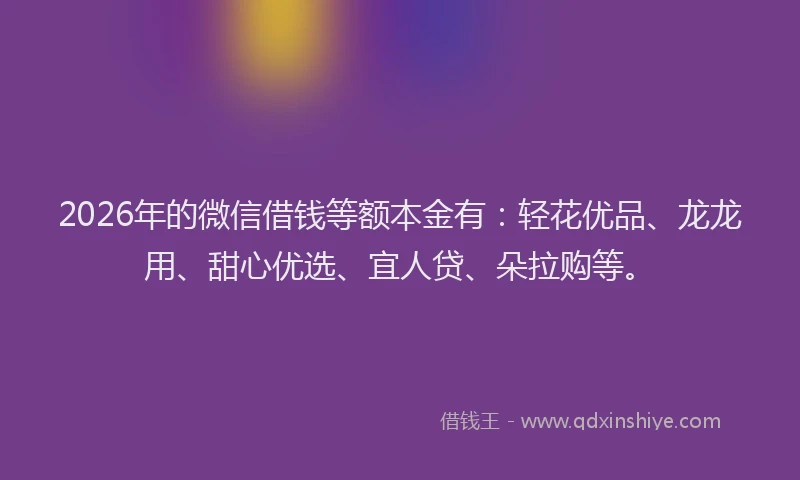 2026年的微信借钱等额本金有:轻花优品、龙龙用、甜心优选、宜人贷、朵拉购等。