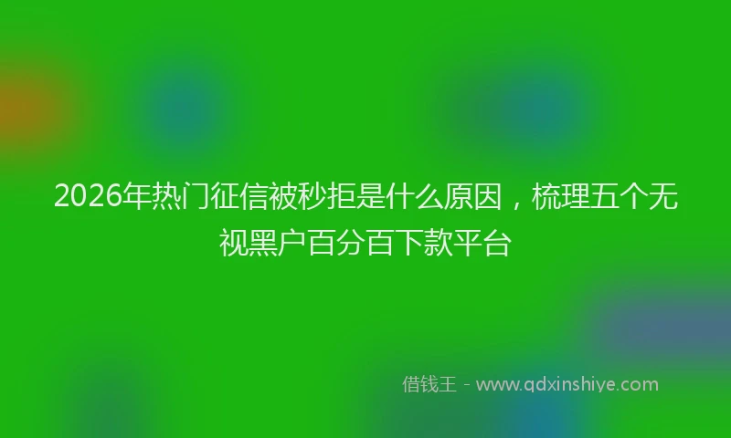 2026年热门征信被秒拒是什么原因，梳理五个无视黑户百分百下款平台