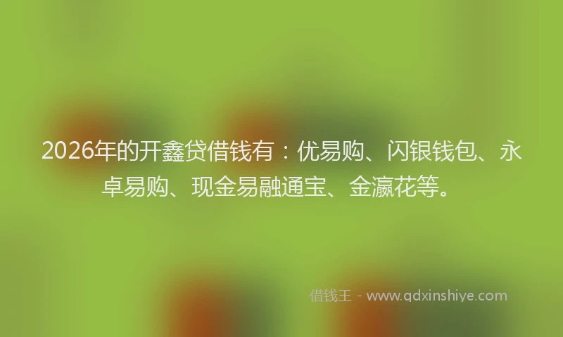 2026年的开鑫贷借钱有：优易购、闪银钱包、永卓易购、现金易融通宝、金瀛花等。