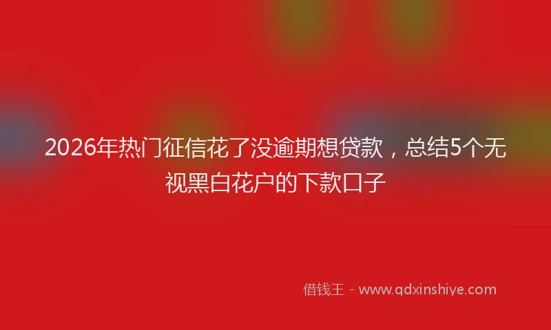 2026年热门征信花了没逾期想贷款，总结5个无视黑白花户的下款口子