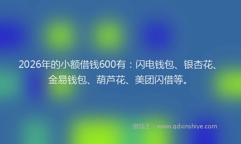 2026年的小额借钱600有：闪电钱包、银杏花、金易钱包、葫芦花、美团闪借等。