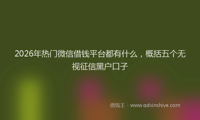 2026年热门微信借钱平台都有什么，概括五个无视征信黑户口子