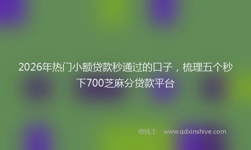 2026年热门小额贷款秒通过的口子，梳理五个秒下700芝麻分贷款平台