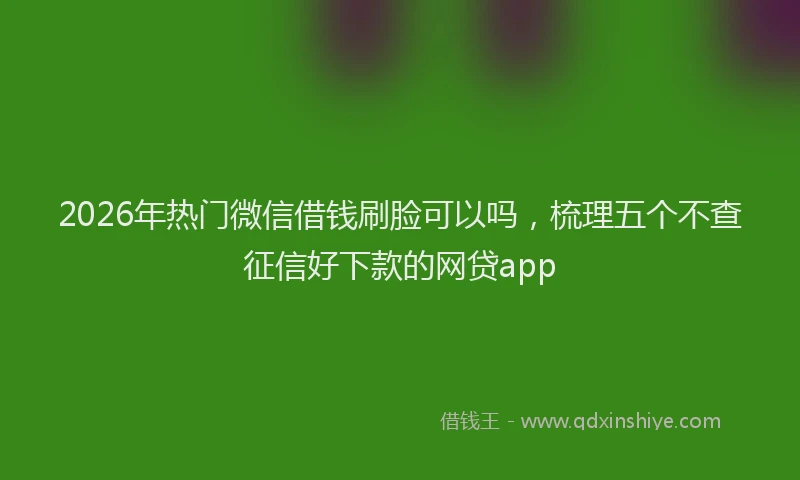 2026年热门微信借钱刷脸可以吗，梳理五个不查征信好下款的网贷app