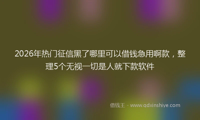 2026年热门征信黑了哪里可以借钱急用啊款，整理5个无视一切是人就下款软件