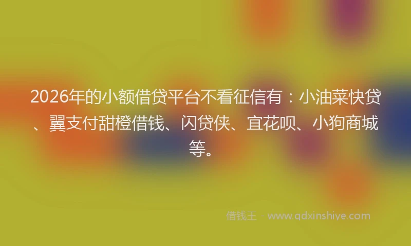 2026年的小额借贷平台不看征信有：小油菜快贷、翼支付甜橙借钱、闪贷侠、宜花呗、小狗商城等。