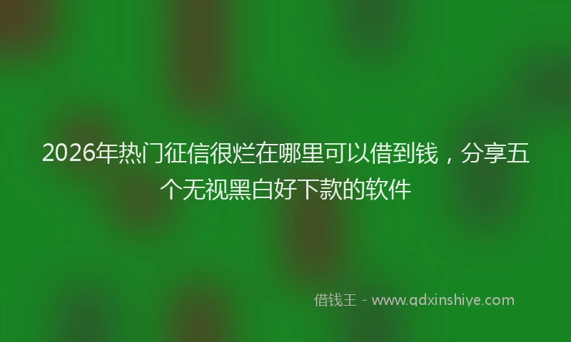 2026年热门征信很烂在哪里可以借到钱，分享五个无视黑白好下款的软件