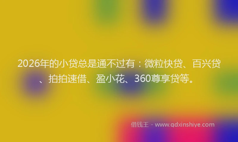 2026年的小贷总是通不过有：微粒快贷、百兴贷、拍拍速借、盈小花、360尊享贷等。