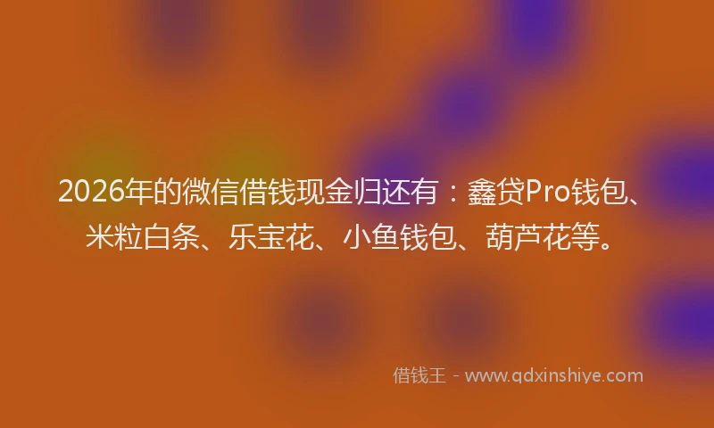 2026年的微信借钱现金归还有:鑫贷Pro钱包、米粒白条、乐宝花、小鱼钱包、葫芦花等。