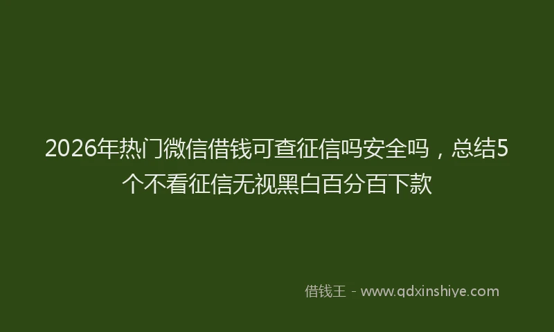 2026年热门微信借钱可查征信吗安全吗，总结5个不看征信无视黑白百分百下款