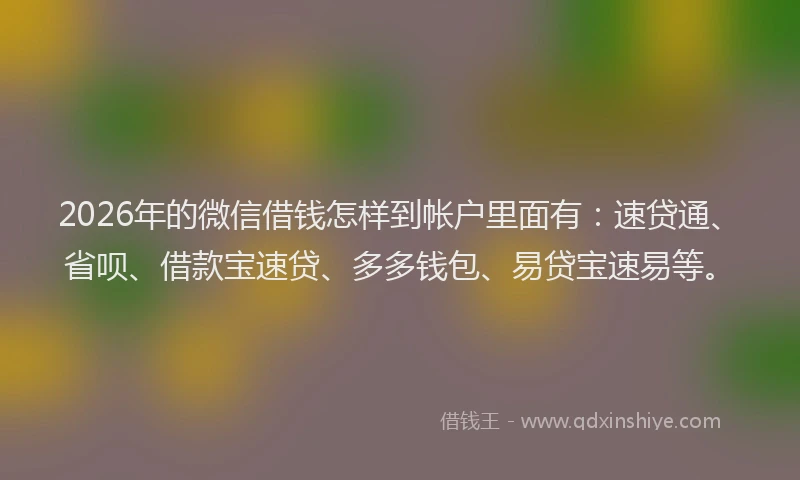 2026年的微信借钱怎样到帐户里面有：速贷通、省呗、借款宝速贷、多多钱包、易贷宝速易等。