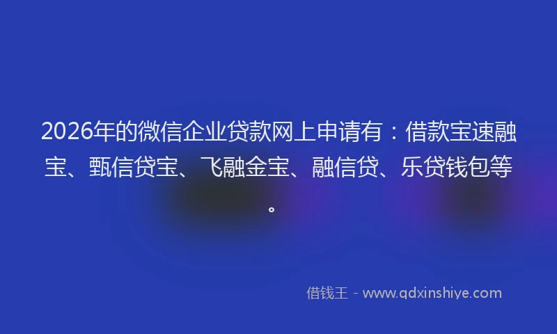 2026年的微信企业贷款网上申请有：借款宝速融宝、甄信贷宝、飞融金宝、融信贷、乐贷钱包等。