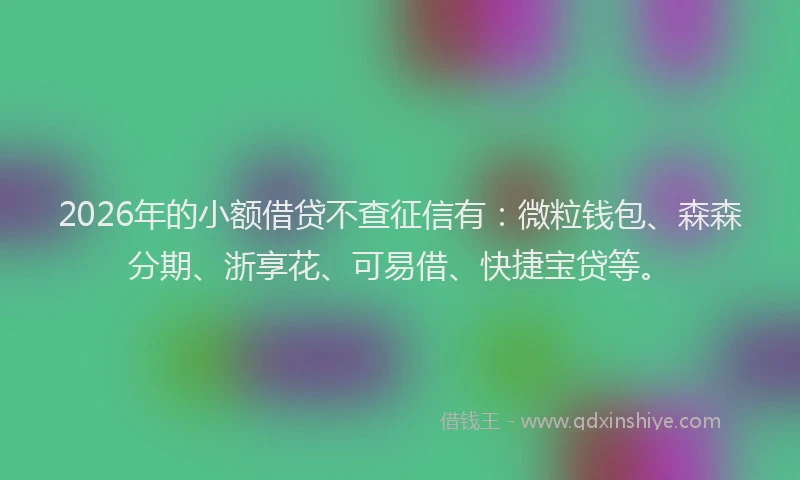 2026年的小额借贷不查征信有：微粒钱包、森森分期、浙享花、可易借、快捷宝贷等。