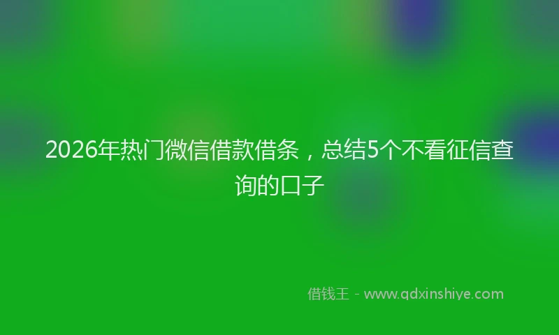 2026年热门微信借款借条，总结5个不看征信查询的口子