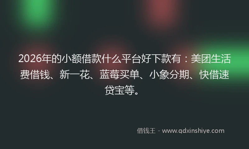 2026年的小额借款什么平台好下款有:美团生活费借钱、新一花、蓝莓买单、小象分期、快借速贷宝等。