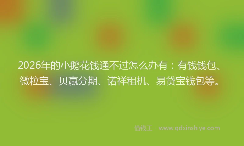 2026年的小鹅花钱通不过怎么办有：有钱钱包、微粒宝、贝赢分期、诺祥租机、易贷宝钱包等。