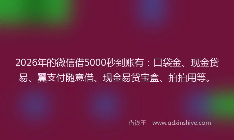 2026年的微信借5000秒到账有：口袋金、现金贷易、翼支付随意借、现金易贷宝盒、拍拍用等。