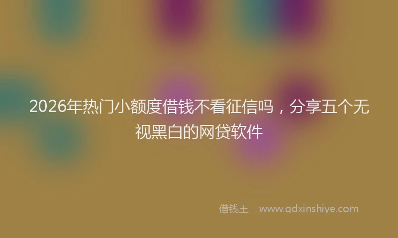 2026年热门小额度借钱不看征信吗，分享五个无视黑白的网贷软件