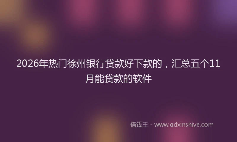 2026年热门徐州银行贷款好下款的，汇总五个11月能贷款的软件
