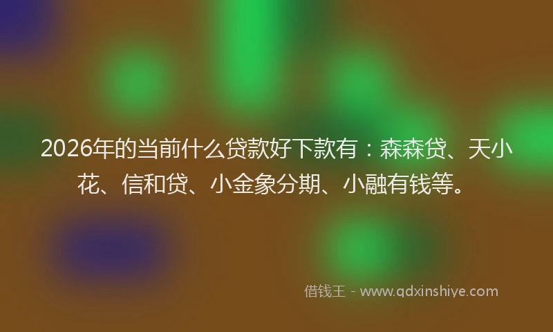 2026年的当前什么贷款好下款有：森森贷、天小花、信和贷、小金象分期、小融有钱等。