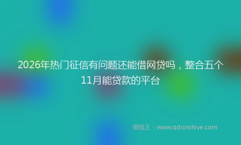 2026年热门征信有问题还能借网贷吗,整合五个11月能贷款的平台