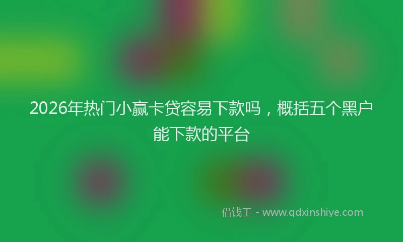 2026年热门小赢卡贷容易下款吗，概括五个黑户能下款的平台