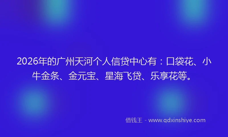 2026年的广州天河个人信贷中心有：口袋花、小牛金条、金元宝、星海飞贷、乐享花等。