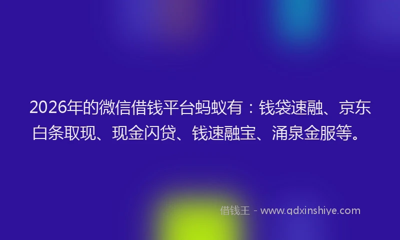 2026年的微信借钱平台蚂蚁有：钱袋速融、京东白条取现、现金闪贷、钱速融宝、涌泉金服等。