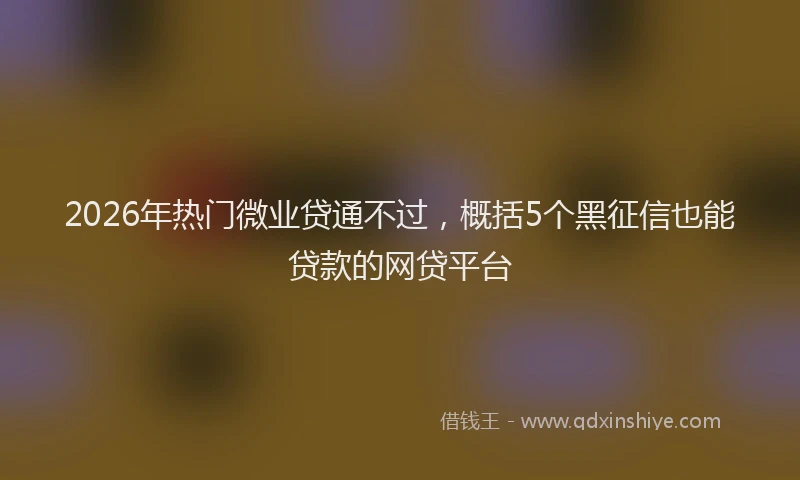 2026年热门微业贷通不过，概括5个黑征信也能贷款的网贷平台