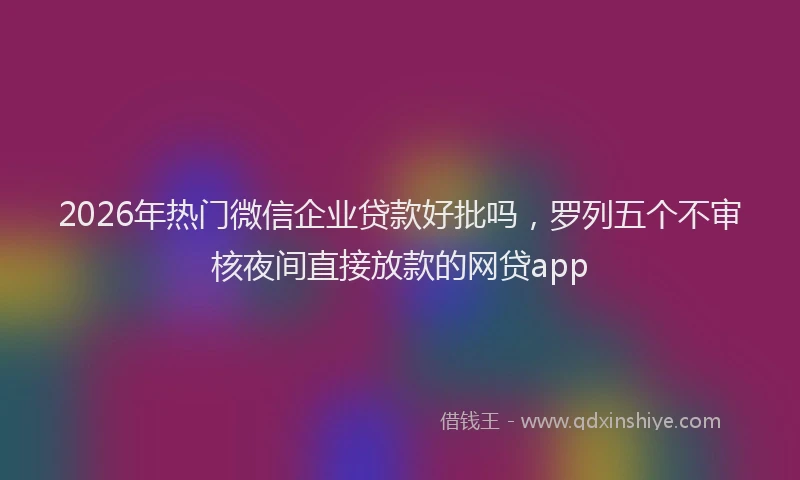 2026年热门微信企业贷款好批吗，罗列五个不审核夜间直接放款的网贷app
