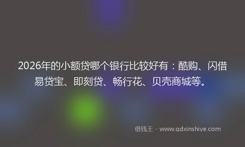 2026年的小额贷哪个银行比较好有：酷购、闪借易贷宝、即刻贷、畅行花、贝壳商城等。