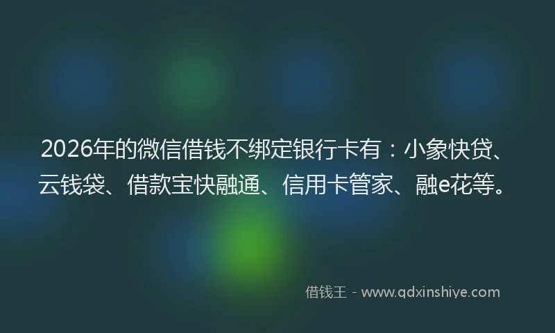 2026年的微信借钱不绑定银行卡有:小象快贷、云钱袋、借款宝快融通、信用卡管家、融e花等。