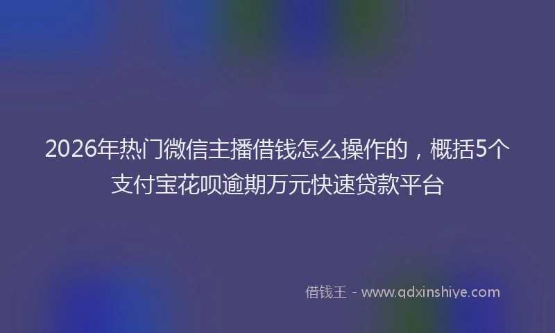 2026年热门微信主播借钱怎么操作的，概括5个支付宝花呗逾期万元快速贷款平台