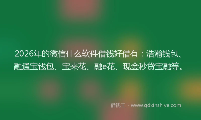 2026年的微信什么软件借钱好借有：浩瀚钱包、融通宝钱包、宝来花、融e花、现金秒贷宝融等。