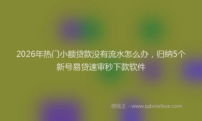 2026年热门小额贷款没有流水怎么办，归纳5个新号易贷速审秒下款软件