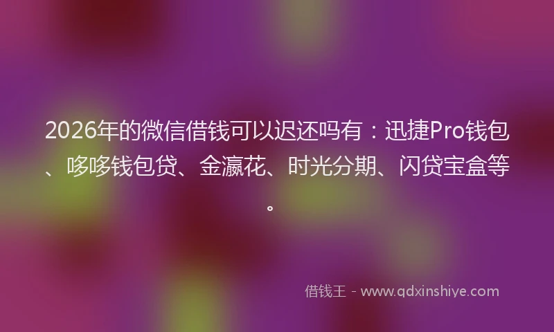 2026年的微信借钱可以迟还吗有：迅捷Pro钱包、哆哆钱包贷、金瀛花、时光分期、闪贷宝盒等。