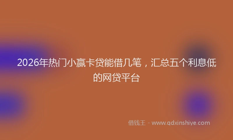 2026年热门小赢卡贷能借几笔，汇总五个利息低的网贷平台