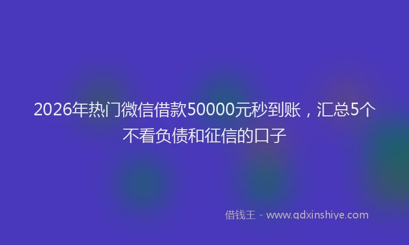 2026年热门微信借款50000元秒到账，汇总5个不看负债和征信的口子